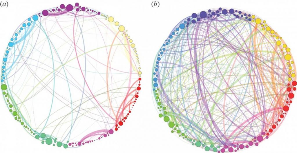 Human Brain on Psilocybin Magic Mushroom