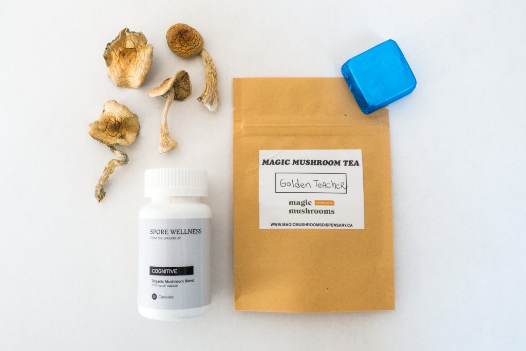 First Timer Magic Mushroom Kit 1 First Timer Magic Mushroom Kit 1