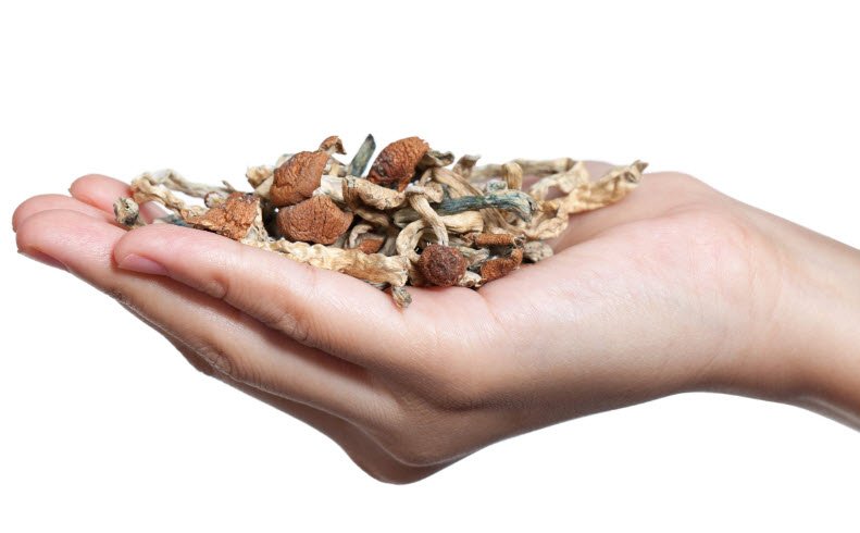 Understanding the Legality of Magic Mushrooms and Its Impact on You Understanding the Legality of Magic Mushrooms and Its Impact on You