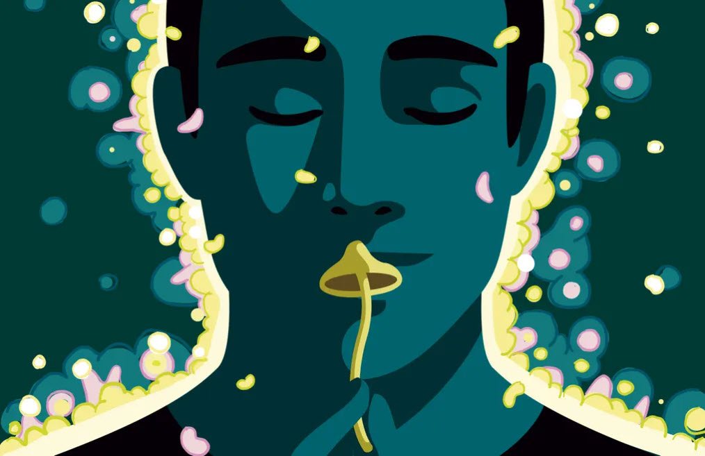 5 Activities to Try When You're High on Shrooms 5 Activities to Try When You're High on Shrooms